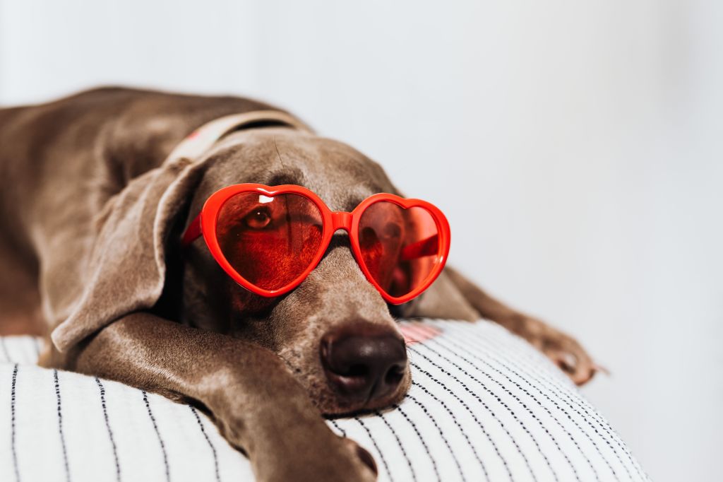 The Invisible Filter Running Your Entire&nbsp;Life